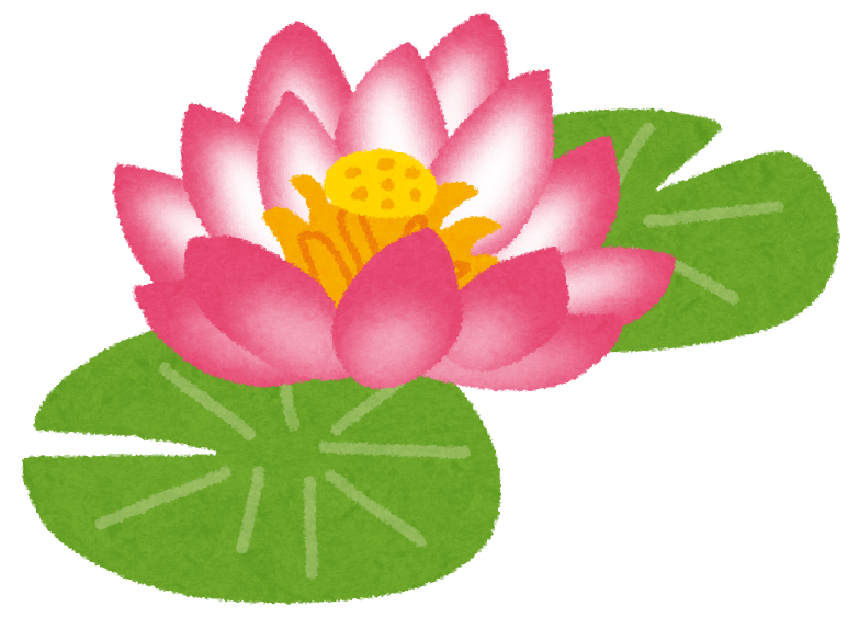 蓮の花。悲しみ、辛さ、大変さを養分として、それが濃ければ濃いほど、やがて大輪の花を咲かすことができる