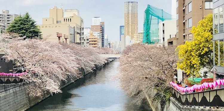 自己肯定感。ユーモアは人間だけに与えられた神的といってもいいほどの崇高な能力である。