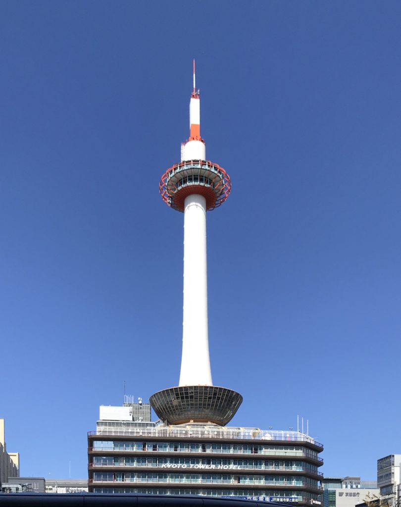 近況報告。ジャスミン堀井の今後について