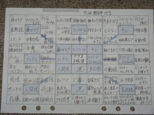 ヒーロー降臨。大谷翔平選手の成功要因を探る