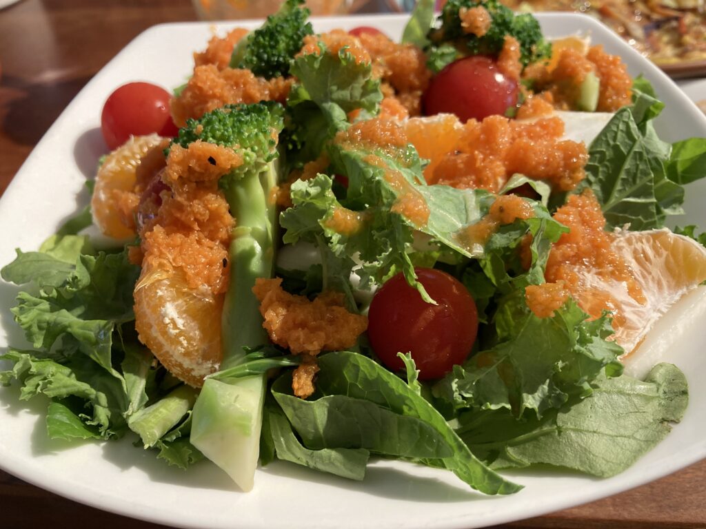 検証。ホームレスに禿と癌がいないという説は本当か（ジャスミン堀井の自然生活のススメvol.13）