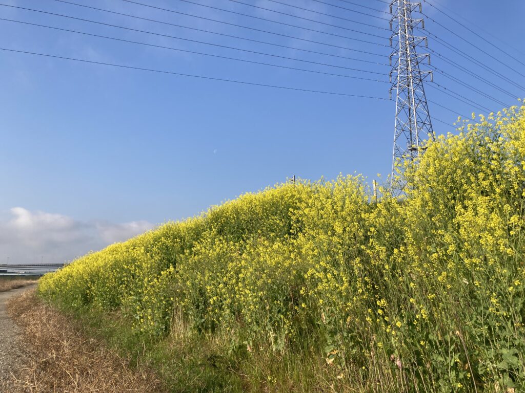 コメンスメント。人生が想い通りにならないあなたが心がけるべき思考と行動とは何か