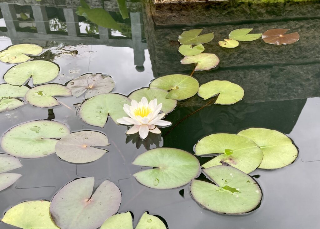 お礼参り。三年ぶりに不思議な住職の元へ。