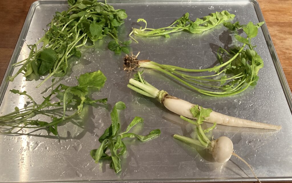 人日の節句(じんじつのせっく)」。七草粥を食べる日は人に優しくする日でもある