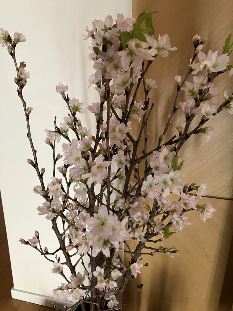 閑話休題。三連休と成人の日に寄せて。